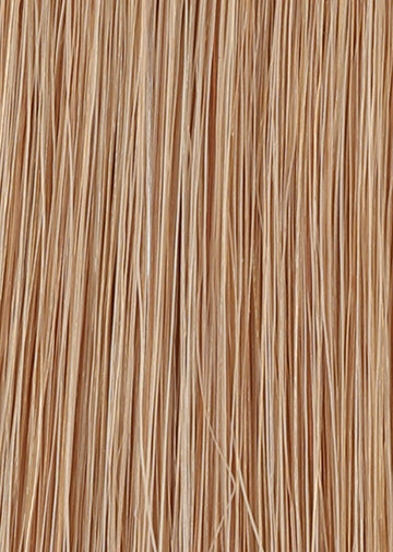 PONYTAIL COLLECTION