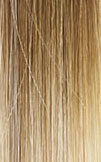 PONYTAIL COLLECTION