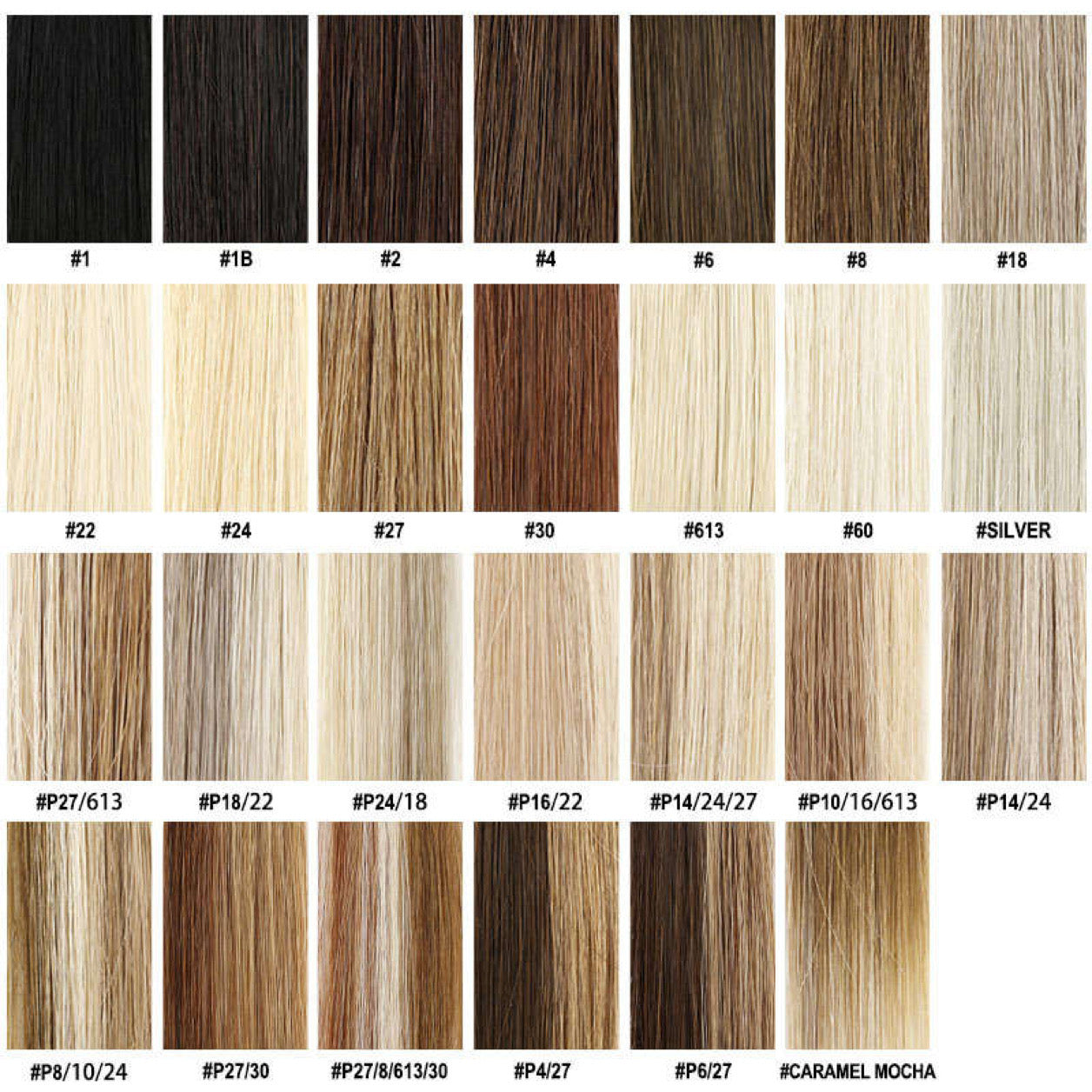 PONYTAIL COLLECTION