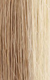 PONYTAIL COLLECTION