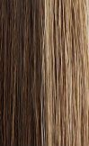 PONYTAIL COLLECTION